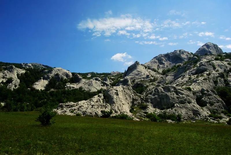 Fotogalerija Marina Labrovića: Gušti na Stapini