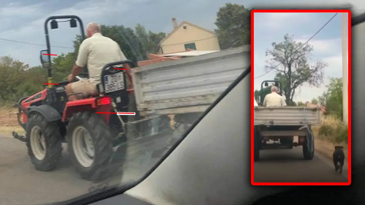 VIDEO – Nakon objave ZADAR Newsa policija prijavila lika koji je zavezao psa za traktor i vukao ga za sobom